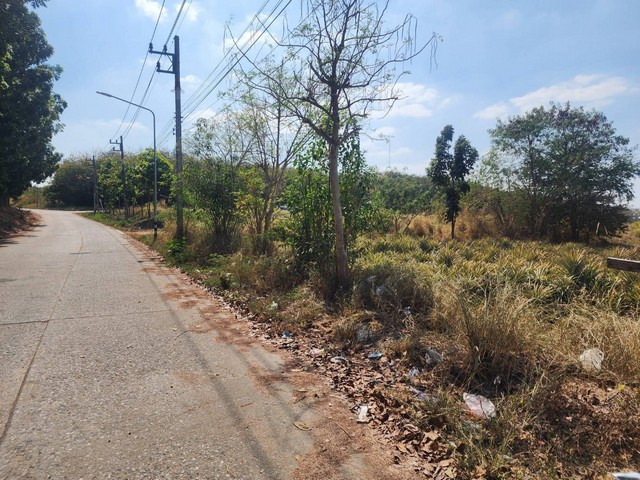 ประกาศฟรี! ซื้อ-ขาย-เช่า คอนโด บ้าน ทาวน์โฮม ที่ดิน และพื้นที่เชิงพาณิชย์ทั่วประเทศไทย ทุกทำเล ทุกงบประมาณ ไม่มีค่าใช้จ่าย ลงง่าย ขายไว เข้าถึงผู้ซื้อโดยตรง 3 315889pic2.jpg