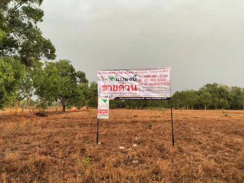 ประกาศฟรี! ซื้อ-ขาย-เช่า คอนโด บ้าน ทาวน์โฮม ที่ดิน และพื้นที่เชิงพาณิชย์ทั่วประเทศไทย ทุกทำเล ทุกงบประมาณ ไม่มีค่าใช้จ่าย ลงง่าย ขายไว เข้าถึงผู้ซื้อโดยตรง 2 515622pic1.jpg