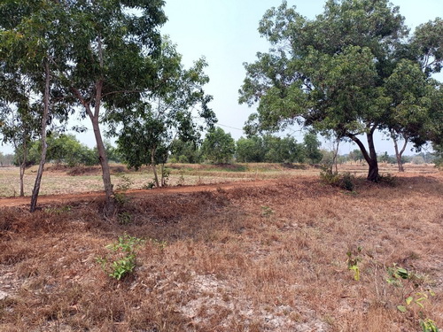 ประกาศฟรี! ซื้อ-ขาย-เช่า คอนโด บ้าน ทาวน์โฮม ที่ดิน และพื้นที่เชิงพาณิชย์ทั่วประเทศไทย ทุกทำเล ทุกงบประมาณ ไม่มีค่าใช้จ่าย ลงง่าย ขายไว เข้าถึงผู้ซื้อโดยตรง 4 515622pic3.jpg