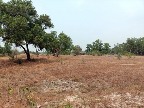 ประกาศฟรี! ซื้อ-ขาย-เช่า คอนโด บ้าน ทาวน์โฮม ที่ดิน และพื้นที่เชิงพาณิชย์ทั่วประเทศไทย ทุกทำเล ทุกงบประมาณ ไม่มีค่าใช้จ่าย ลงง่าย ขายไว เข้าถึงผู้ซื้อโดยตรง 5 515622pic4.jpg