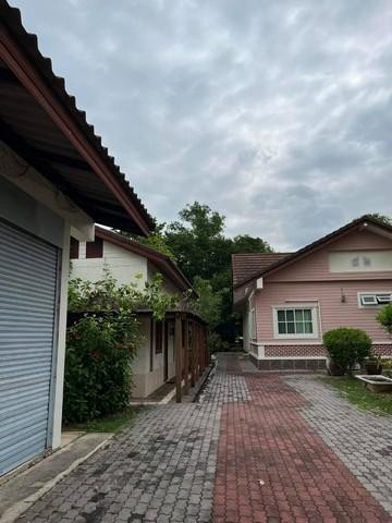 ประกาศฟรี! ซื้อ-ขาย-เช่า คอนโด บ้าน ทาวน์โฮม ที่ดิน และพื้นที่เชิงพาณิชย์ทั่วประเทศไทย ทุกทำเล ทุกงบประมาณ ไม่มีค่าใช้จ่าย ลงง่าย ขายไว เข้าถึงผู้ซื้อโดยตรง 2 513812pic1.jpg