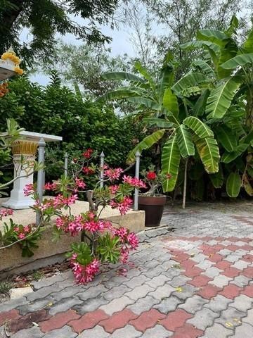 ประกาศฟรี! ซื้อ-ขาย-เช่า คอนโด บ้าน ทาวน์โฮม ที่ดิน และพื้นที่เชิงพาณิชย์ทั่วประเทศไทย ทุกทำเล ทุกงบประมาณ ไม่มีค่าใช้จ่าย ลงง่าย ขายไว เข้าถึงผู้ซื้อโดยตรง 3 513812pic2.jpg