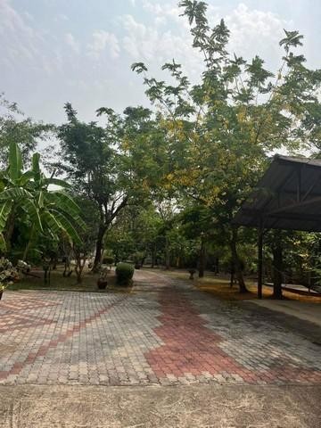 ประกาศฟรี! ซื้อ-ขาย-เช่า คอนโด บ้าน ทาวน์โฮม ที่ดิน และพื้นที่เชิงพาณิชย์ทั่วประเทศไทย ทุกทำเล ทุกงบประมาณ ไม่มีค่าใช้จ่าย ลงง่าย ขายไว เข้าถึงผู้ซื้อโดยตรง 5 513812pic4.jpg