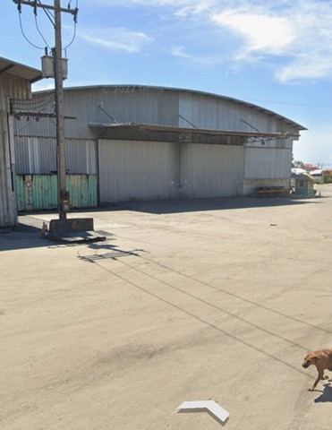 ประกาศฟรี! ซื้อ-ขาย-เช่า คอนโด บ้าน ทาวน์โฮม ที่ดิน และพื้นที่เชิงพาณิชย์ทั่วประเทศไทย ทุกทำเล ทุกงบประมาณ ไม่มีค่าใช้จ่าย ลงง่าย ขายไว เข้าถึงผู้ซื้อโดยตรง 2 254446pic1.jpg