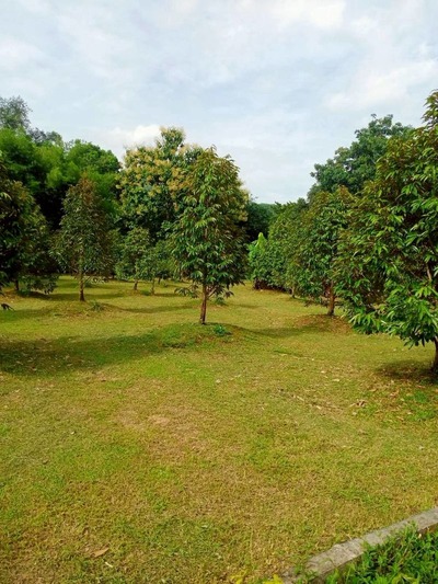 ประกาศฟรี! ซื้อ-ขาย-เช่า คอนโด บ้าน ทาวน์โฮม ที่ดิน และพื้นที่เชิงพาณิชย์ทั่วประเทศไทย ทุกทำเล ทุกงบประมาณ ไม่มีค่าใช้จ่าย ลงง่าย ขายไว เข้าถึงผู้ซื้อโดยตรง 4 515674pic3.jpg