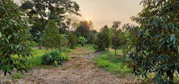 ประกาศฟรี! ซื้อ-ขาย-เช่า คอนโด บ้าน ทาวน์โฮม ที่ดิน และพื้นที่เชิงพาณิชย์ทั่วประเทศไทย ทุกทำเล ทุกงบประมาณ ไม่มีค่าใช้จ่าย ลงง่าย ขายไว เข้าถึงผู้ซื้อโดยตรง 5 515674pic4.jpg