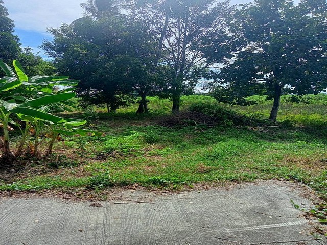 ประกาศฟรี! ซื้อ-ขาย-เช่า คอนโด บ้าน ทาวน์โฮม ที่ดิน และพื้นที่เชิงพาณิชย์ทั่วประเทศไทย ทุกทำเล ทุกงบประมาณ ไม่มีค่าใช้จ่าย ลงง่าย ขายไว เข้าถึงผู้ซื้อโดยตรง 4 315945pic3.jpg