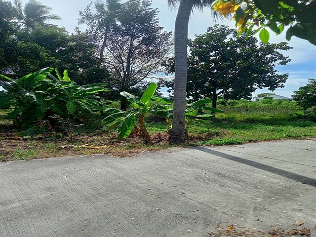 ประกาศฟรี! ซื้อ-ขาย-เช่า คอนโด บ้าน ทาวน์โฮม ที่ดิน และพื้นที่เชิงพาณิชย์ทั่วประเทศไทย ทุกทำเล ทุกงบประมาณ ไม่มีค่าใช้จ่าย ลงง่าย ขายไว เข้าถึงผู้ซื้อโดยตรง 5 315945pic4.jpg