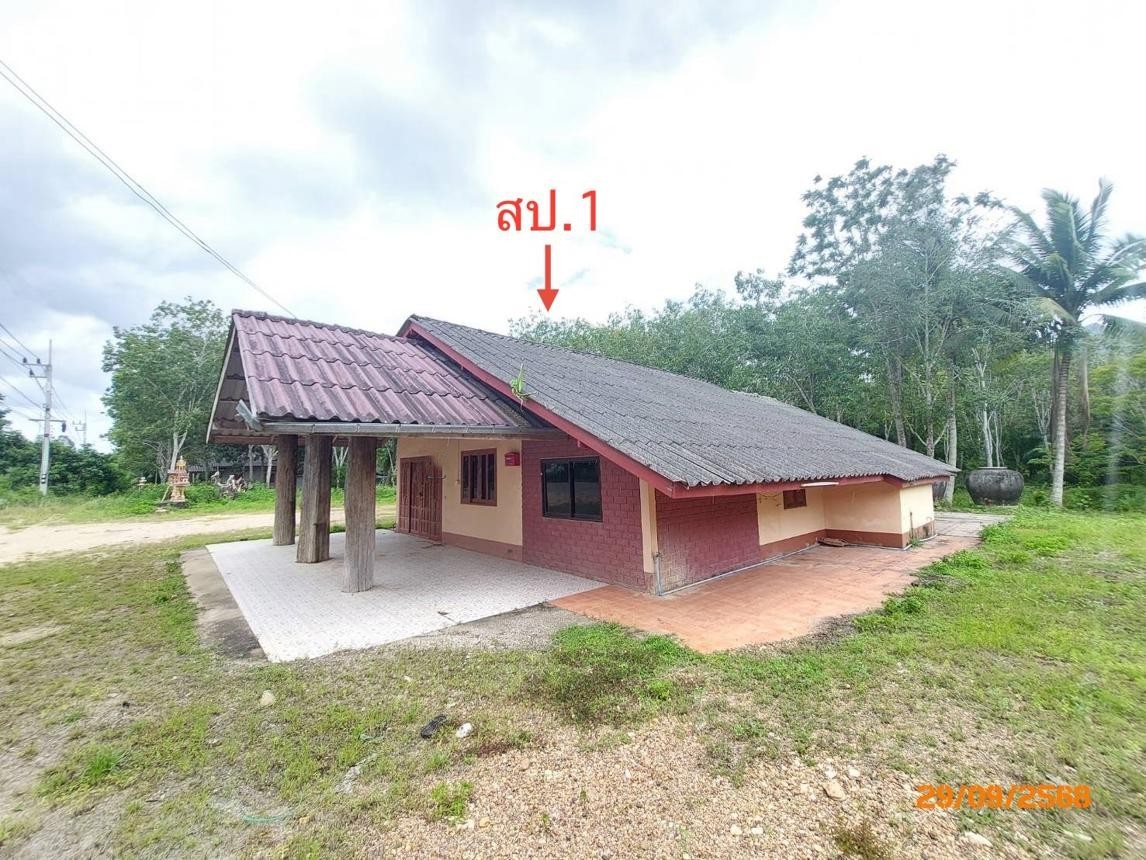 ประกาศฟรี! ซื้อ-ขาย-เช่า คอนโด บ้าน ทาวน์โฮม ที่ดิน และพื้นที่เชิงพาณิชย์ทั่วประเทศไทย ทุกทำเล ทุกงบประมาณ ไม่มีค่าใช้จ่าย ลงง่าย ขายไว เข้าถึงผู้ซื้อโดยตรง 3 254227pic2.jpg