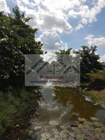 ประกาศฟรี! ซื้อ-ขาย-เช่า คอนโด บ้าน ทาวน์โฮม ที่ดิน และพื้นที่เชิงพาณิชย์ทั่วประเทศไทย ทุกทำเล ทุกงบประมาณ ไม่มีค่าใช้จ่าย ลงง่าย ขายไว เข้าถึงผู้ซื้อโดยตรง 3 513691pic2.jpg