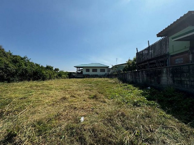 ประกาศฟรี! ซื้อ-ขาย-เช่า คอนโด บ้าน ทาวน์โฮม ที่ดิน และพื้นที่เชิงพาณิชย์ทั่วประเทศไทย ทุกทำเล ทุกงบประมาณ ไม่มีค่าใช้จ่าย ลงง่าย ขายไว เข้าถึงผู้ซื้อโดยตรง 4 315952pic3.jpg