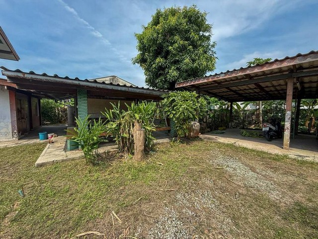 ประกาศฟรี! ซื้อ-ขาย-เช่า คอนโด บ้าน ทาวน์โฮม ที่ดิน และพื้นที่เชิงพาณิชย์ทั่วประเทศไทย ทุกทำเล ทุกงบประมาณ ไม่มีค่าใช้จ่าย ลงง่าย ขายไว เข้าถึงผู้ซื้อโดยตรง 5 315950pic4.jpg