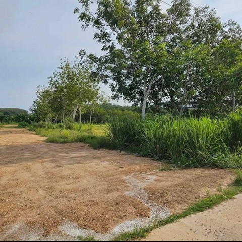 ประกาศฟรี! ซื้อ-ขาย-เช่า คอนโด บ้าน ทาวน์โฮม ที่ดิน และพื้นที่เชิงพาณิชย์ทั่วประเทศไทย ทุกทำเล ทุกงบประมาณ ไม่มีค่าใช้จ่าย ลงง่าย ขายไว เข้าถึงผู้ซื้อโดยตรง 3 254570pic2.jpg