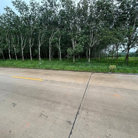 ประกาศฟรี! ซื้อ-ขาย-เช่า คอนโด บ้าน ทาวน์โฮม ที่ดิน และพื้นที่เชิงพาณิชย์ทั่วประเทศไทย ทุกทำเล ทุกงบประมาณ ไม่มีค่าใช้จ่าย ลงง่าย ขายไว เข้าถึงผู้ซื้อโดยตรง 4 254570pic3.jpg