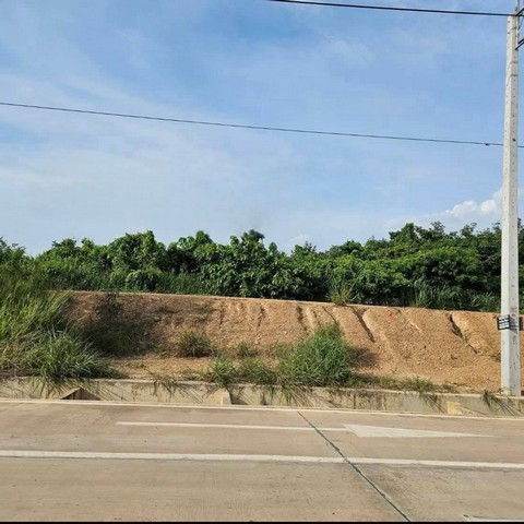 ประกาศฟรี! ซื้อ-ขาย-เช่า คอนโด บ้าน ทาวน์โฮม ที่ดิน และพื้นที่เชิงพาณิชย์ทั่วประเทศไทย ทุกทำเล ทุกงบประมาณ ไม่มีค่าใช้จ่าย ลงง่าย ขายไว เข้าถึงผู้ซื้อโดยตรง 5 254570pic4.jpg