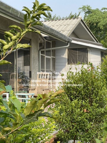 ประกาศฟรี! ซื้อ-ขาย-เช่า คอนโด บ้าน ทาวน์โฮม ที่ดิน และพื้นที่เชิงพาณิชย์ทั่วประเทศไทย ทุกทำเล ทุกงบประมาณ ไม่มีค่าใช้จ่าย ลงง่าย ขายไว เข้าถึงผู้ซื้อโดยตรง 5 20721pic4.jpg