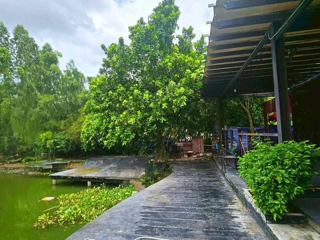 ประกาศฟรี! ซื้อ-ขาย-เช่า คอนโด บ้าน ทาวน์โฮม ที่ดิน และพื้นที่เชิงพาณิชย์ทั่วประเทศไทย ทุกทำเล ทุกงบประมาณ ไม่มีค่าใช้จ่าย ลงง่าย ขายไว เข้าถึงผู้ซื้อโดยตรง 5 254568pic4.jpg