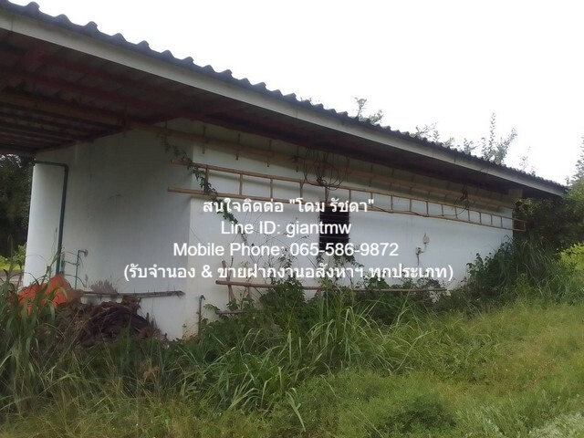 ประกาศฟรี! ซื้อ-ขาย-เช่า คอนโด บ้าน ทาวน์โฮม ที่ดิน และพื้นที่เชิงพาณิชย์ทั่วประเทศไทย ทุกทำเล ทุกงบประมาณ ไม่มีค่าใช้จ่าย ลงง่าย ขายไว เข้าถึงผู้ซื้อโดยตรง 5 17544pic4.jpg