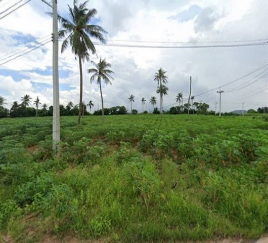 ประกาศฟรี! ซื้อ-ขาย-เช่า คอนโด บ้าน ทาวน์โฮม ที่ดิน และพื้นที่เชิงพาณิชย์ทั่วประเทศไทย ทุกทำเล ทุกงบประมาณ ไม่มีค่าใช้จ่าย ลงง่าย ขายไว เข้าถึงผู้ซื้อโดยตรง 3 254564pic2.jpg