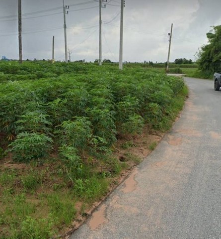 ประกาศฟรี! ซื้อ-ขาย-เช่า คอนโด บ้าน ทาวน์โฮม ที่ดิน และพื้นที่เชิงพาณิชย์ทั่วประเทศไทย ทุกทำเล ทุกงบประมาณ ไม่มีค่าใช้จ่าย ลงง่าย ขายไว เข้าถึงผู้ซื้อโดยตรง 4 254564pic3.jpg