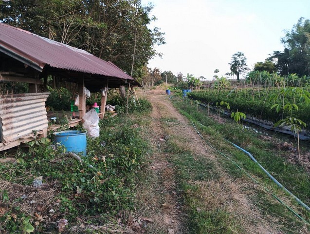 ประกาศฟรี! ซื้อ-ขาย-เช่า คอนโด บ้าน ทาวน์โฮม ที่ดิน และพื้นที่เชิงพาณิชย์ทั่วประเทศไทย ทุกทำเล ทุกงบประมาณ ไม่มีค่าใช้จ่าย ลงง่าย ขายไว เข้าถึงผู้ซื้อโดยตรง 2 7402pic1.jpg