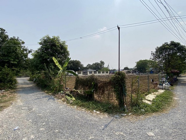 ประกาศฟรี! ซื้อ-ขาย-เช่า คอนโด บ้าน ทาวน์โฮม ที่ดิน และพื้นที่เชิงพาณิชย์ทั่วประเทศไทย ทุกทำเล ทุกงบประมาณ ไม่มีค่าใช้จ่าย ลงง่าย ขายไว เข้าถึงผู้ซื้อโดยตรง 5 501376pic4.jpg