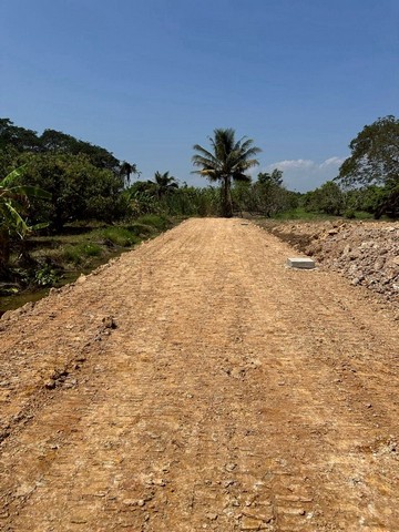 ประกาศฟรี! ซื้อ-ขาย-เช่า คอนโด บ้าน ทาวน์โฮม ที่ดิน และพื้นที่เชิงพาณิชย์ทั่วประเทศไทย ทุกทำเล ทุกงบประมาณ ไม่มีค่าใช้จ่าย ลงง่าย ขายไว เข้าถึงผู้ซื้อโดยตรง 3 254637pic2.jpg