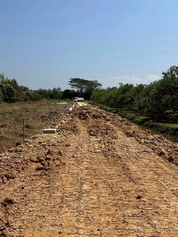 ประกาศฟรี! ซื้อ-ขาย-เช่า คอนโด บ้าน ทาวน์โฮม ที่ดิน และพื้นที่เชิงพาณิชย์ทั่วประเทศไทย ทุกทำเล ทุกงบประมาณ ไม่มีค่าใช้จ่าย ลงง่าย ขายไว เข้าถึงผู้ซื้อโดยตรง 5 254637pic4.jpg