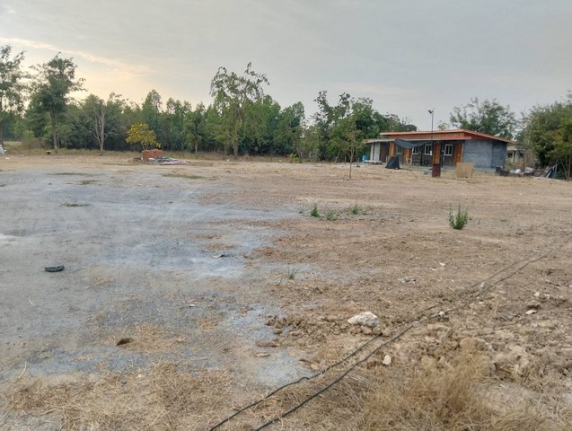 ประกาศฟรี! ซื้อ-ขาย-เช่า คอนโด บ้าน ทาวน์โฮม ที่ดิน และพื้นที่เชิงพาณิชย์ทั่วประเทศไทย ทุกทำเล ทุกงบประมาณ ไม่มีค่าใช้จ่าย ลงง่าย ขายไว เข้าถึงผู้ซื้อโดยตรง 2 255331pic1.jpg