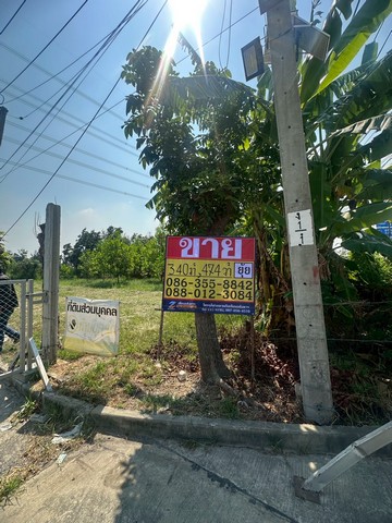 ประกาศฟรี! ซื้อ-ขาย-เช่า คอนโด บ้าน ทาวน์โฮม ที่ดิน และพื้นที่เชิงพาณิชย์ทั่วประเทศไทย ทุกทำเล ทุกงบประมาณ ไม่มีค่าใช้จ่าย ลงง่าย ขายไว เข้าถึงผู้ซื้อโดยตรง 3 515694pic2.jpg