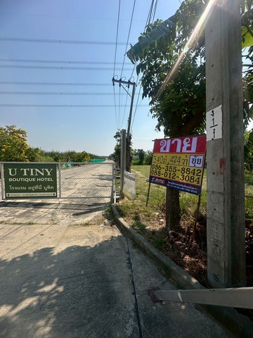 ประกาศฟรี! ซื้อ-ขาย-เช่า คอนโด บ้าน ทาวน์โฮม ที่ดิน และพื้นที่เชิงพาณิชย์ทั่วประเทศไทย ทุกทำเล ทุกงบประมาณ ไม่มีค่าใช้จ่าย ลงง่าย ขายไว เข้าถึงผู้ซื้อโดยตรง 4 515694pic3.jpg