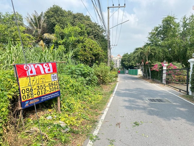 ประกาศฟรี! ซื้อ-ขาย-เช่า คอนโด บ้าน ทาวน์โฮม ที่ดิน และพื้นที่เชิงพาณิชย์ทั่วประเทศไทย ทุกทำเล ทุกงบประมาณ ไม่มีค่าใช้จ่าย ลงง่าย ขายไว เข้าถึงผู้ซื้อโดยตรง 2 515692pic1.jpg