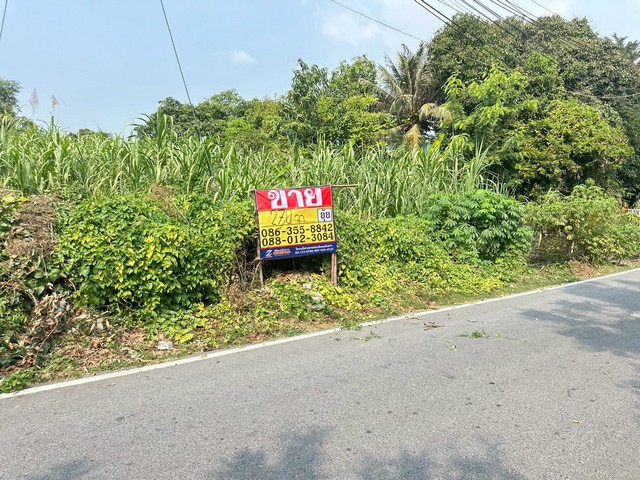 ประกาศฟรี! ซื้อ-ขาย-เช่า คอนโด บ้าน ทาวน์โฮม ที่ดิน และพื้นที่เชิงพาณิชย์ทั่วประเทศไทย ทุกทำเล ทุกงบประมาณ ไม่มีค่าใช้จ่าย ลงง่าย ขายไว เข้าถึงผู้ซื้อโดยตรง 3 515692pic2.jpg