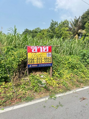 ประกาศฟรี! ซื้อ-ขาย-เช่า คอนโด บ้าน ทาวน์โฮม ที่ดิน และพื้นที่เชิงพาณิชย์ทั่วประเทศไทย ทุกทำเล ทุกงบประมาณ ไม่มีค่าใช้จ่าย ลงง่าย ขายไว เข้าถึงผู้ซื้อโดยตรง 4 515692pic3.jpg