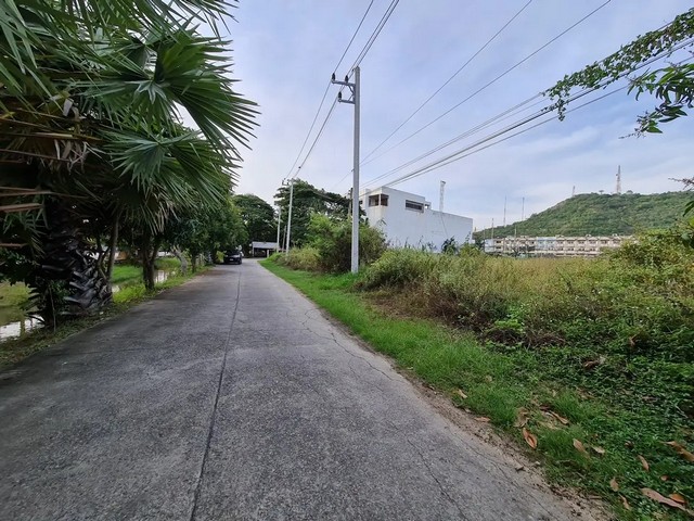 ประกาศฟรี! ซื้อ-ขาย-เช่า คอนโด บ้าน ทาวน์โฮม ที่ดิน และพื้นที่เชิงพาณิชย์ทั่วประเทศไทย ทุกทำเล ทุกงบประมาณ ไม่มีค่าใช้จ่าย ลงง่าย ขายไว เข้าถึงผู้ซื้อโดยตรง 4 255295pic3.jpg