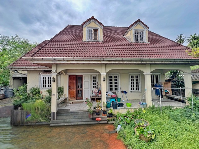 ประกาศฟรี! ซื้อ-ขาย-เช่า คอนโด บ้าน ทาวน์โฮม ที่ดิน และพื้นที่เชิงพาณิชย์ทั่วประเทศไทย ทุกทำเล ทุกงบประมาณ ไม่มีค่าใช้จ่าย ลงง่าย ขายไว เข้าถึงผู้ซื้อโดยตรง 2 254610pic1.jpg