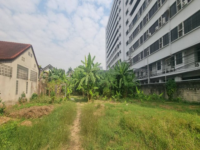 ประกาศฟรี! ซื้อ-ขาย-เช่า คอนโด บ้าน ทาวน์โฮม ที่ดิน และพื้นที่เชิงพาณิชย์ทั่วประเทศไทย ทุกทำเล ทุกงบประมาณ ไม่มีค่าใช้จ่าย ลงง่าย ขายไว เข้าถึงผู้ซื้อโดยตรง 2 514135pic1.jpg