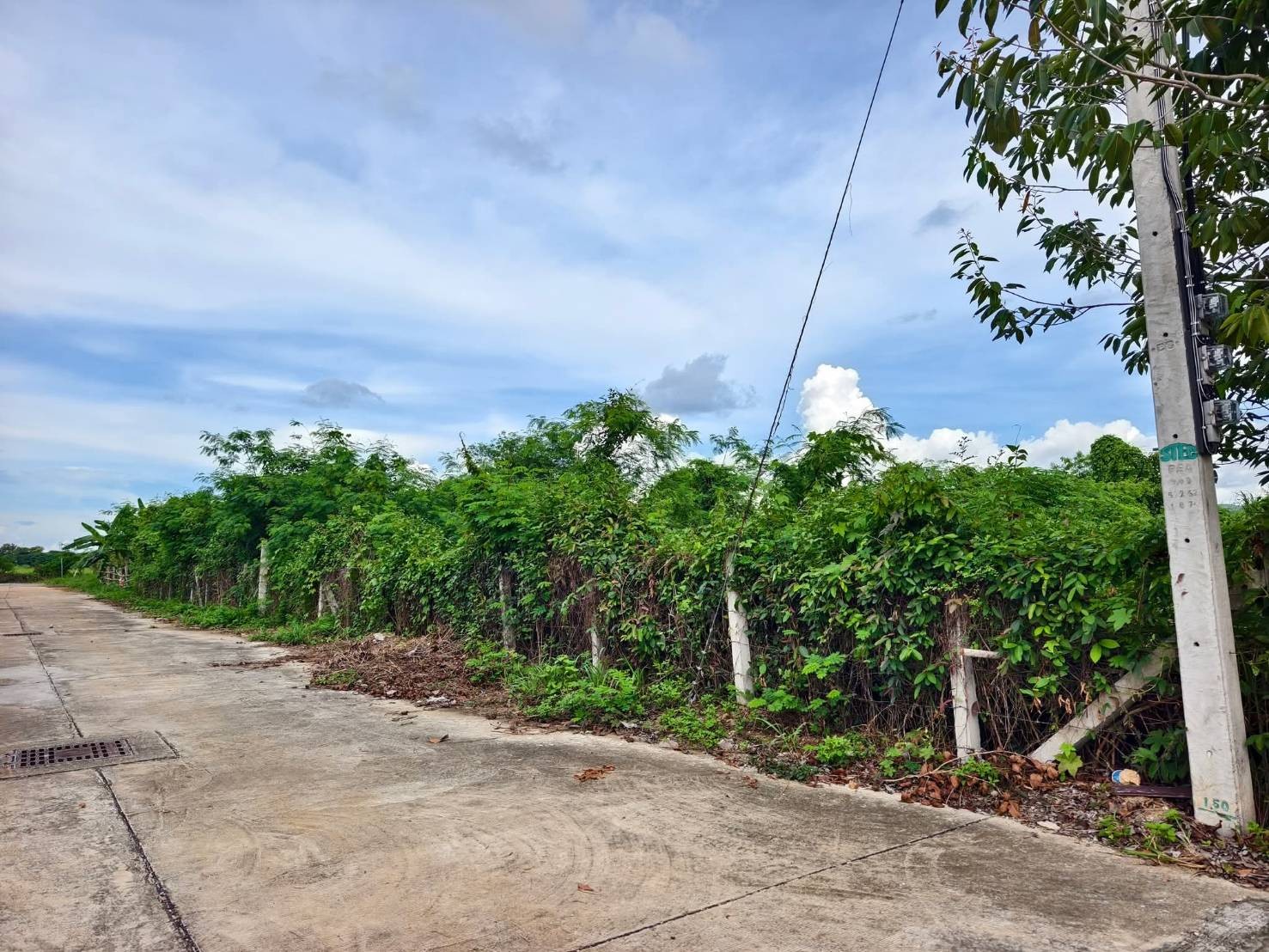 ประกาศฟรี! ซื้อ-ขาย-เช่า คอนโด บ้าน ทาวน์โฮม ที่ดิน และพื้นที่เชิงพาณิชย์ทั่วประเทศไทย ทุกทำเล ทุกงบประมาณ ไม่มีค่าใช้จ่าย ลงง่าย ขายไว เข้าถึงผู้ซื้อโดยตรง 3 316135pic2.jpg