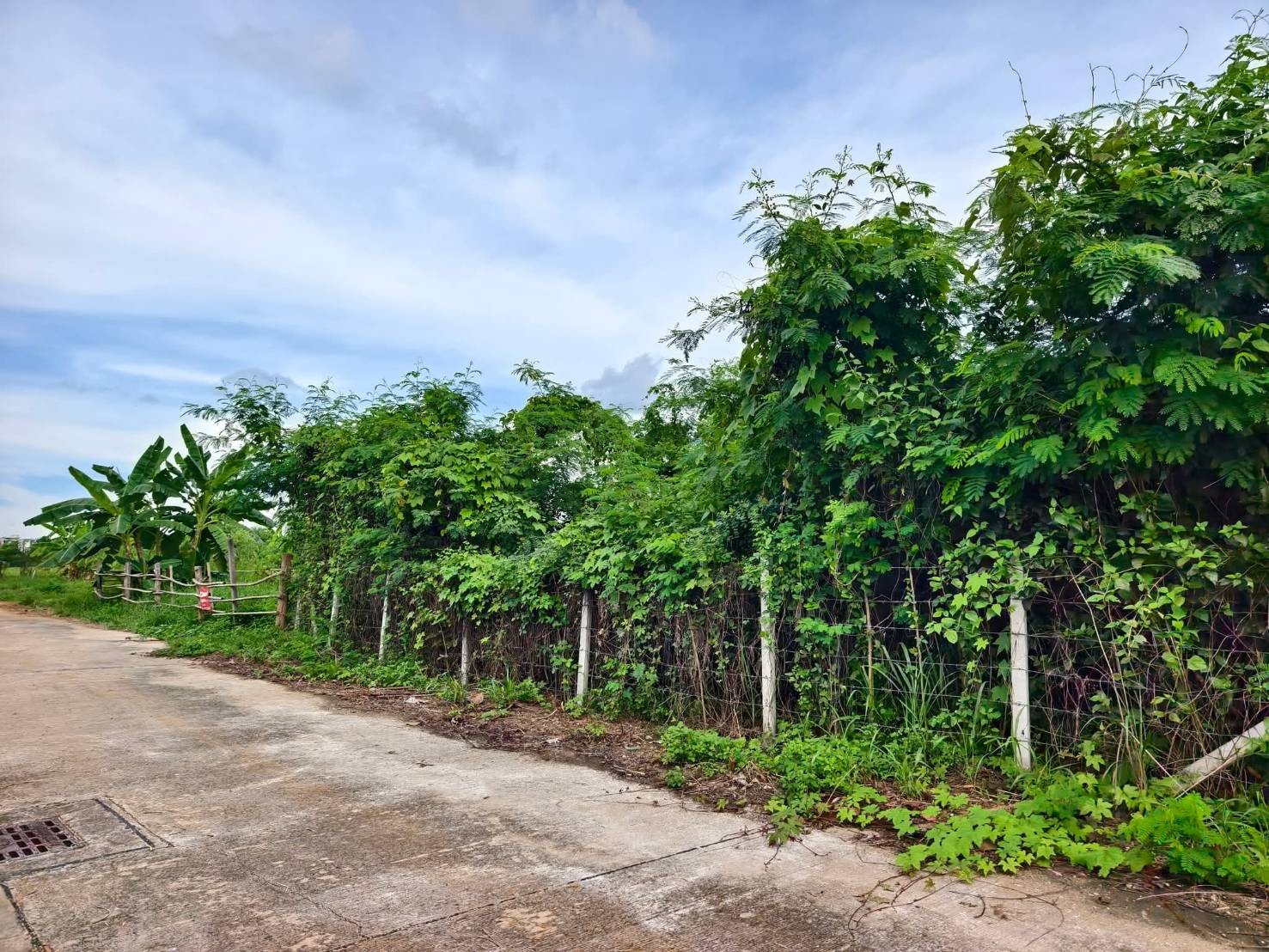 ประกาศฟรี! ซื้อ-ขาย-เช่า คอนโด บ้าน ทาวน์โฮม ที่ดิน และพื้นที่เชิงพาณิชย์ทั่วประเทศไทย ทุกทำเล ทุกงบประมาณ ไม่มีค่าใช้จ่าย ลงง่าย ขายไว เข้าถึงผู้ซื้อโดยตรง 5 316135pic4.jpg