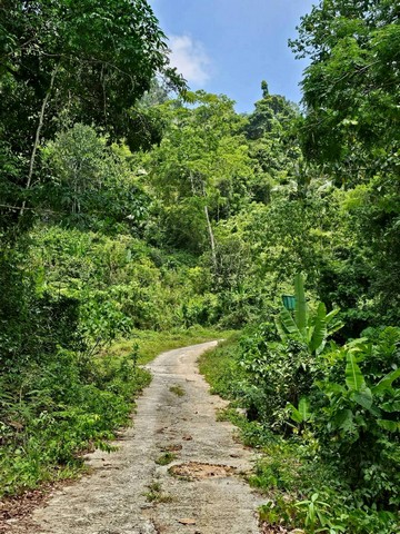 ประกาศฟรี! ซื้อ-ขาย-เช่า คอนโด บ้าน ทาวน์โฮม ที่ดิน และพื้นที่เชิงพาณิชย์ทั่วประเทศไทย ทุกทำเล ทุกงบประมาณ ไม่มีค่าใช้จ่าย ลงง่าย ขายไว เข้าถึงผู้ซื้อโดยตรง 5 316169pic4.jpg