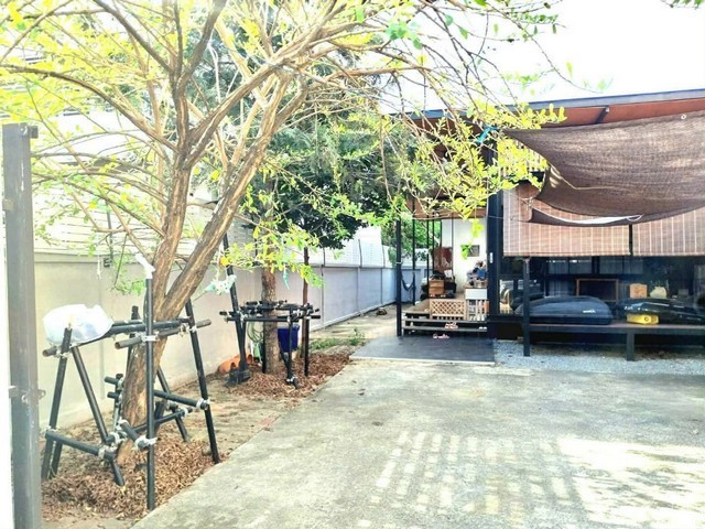 ประกาศฟรี! ซื้อ-ขาย-เช่า คอนโด บ้าน ทาวน์โฮม ที่ดิน และพื้นที่เชิงพาณิชย์ทั่วประเทศไทย ทุกทำเล ทุกงบประมาณ ไม่มีค่าใช้จ่าย ลงง่าย ขายไว เข้าถึงผู้ซื้อโดยตรง 4 515992pic3.jpg