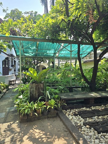 ประกาศฟรี! ซื้อ-ขาย-เช่า คอนโด บ้าน ทาวน์โฮม ที่ดิน และพื้นที่เชิงพาณิชย์ทั่วประเทศไทย ทุกทำเล ทุกงบประมาณ ไม่มีค่าใช้จ่าย ลงง่าย ขายไว เข้าถึงผู้ซื้อโดยตรง 3 315539pic2.jpg