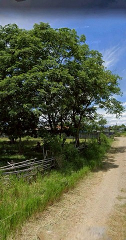 ประกาศฟรี! ซื้อ-ขาย-เช่า คอนโด บ้าน ทาวน์โฮม ที่ดิน และพื้นที่เชิงพาณิชย์ทั่วประเทศไทย ทุกทำเล ทุกงบประมาณ ไม่มีค่าใช้จ่าย ลงง่าย ขายไว เข้าถึงผู้ซื้อโดยตรง 2 255417pic1.jpg