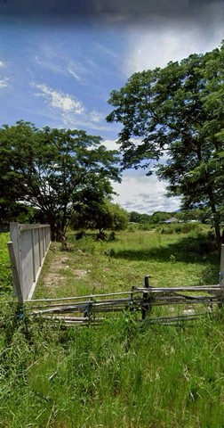 ประกาศฟรี! ซื้อ-ขาย-เช่า คอนโด บ้าน ทาวน์โฮม ที่ดิน และพื้นที่เชิงพาณิชย์ทั่วประเทศไทย ทุกทำเล ทุกงบประมาณ ไม่มีค่าใช้จ่าย ลงง่าย ขายไว เข้าถึงผู้ซื้อโดยตรง 3 255417pic2.jpg