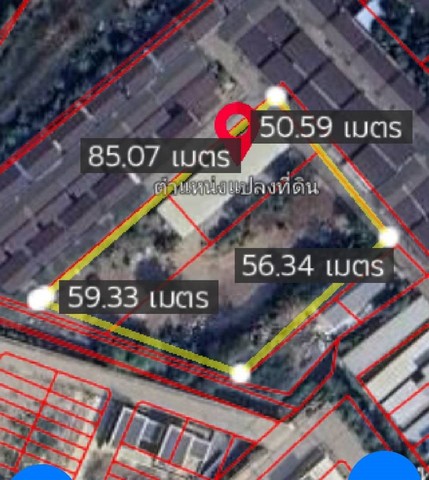 ประกาศฟรี! ซื้อ-ขาย-เช่า คอนโด บ้าน ทาวน์โฮม ที่ดิน และพื้นที่เชิงพาณิชย์ทั่วประเทศไทย ทุกทำเล ทุกงบประมาณ ไม่มีค่าใช้จ่าย ลงง่าย ขายไว เข้าถึงผู้ซื้อโดยตรง 2 255431pic1.jpg