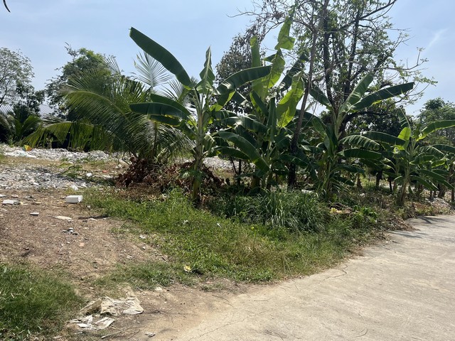 ประกาศฟรี! ซื้อ-ขาย-เช่า คอนโด บ้าน ทาวน์โฮม ที่ดิน และพื้นที่เชิงพาณิชย์ทั่วประเทศไทย ทุกทำเล ทุกงบประมาณ ไม่มีค่าใช้จ่าย ลงง่าย ขายไว เข้าถึงผู้ซื้อโดยตรง 4 255431pic3.jpg