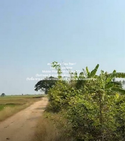 ประกาศฟรี! ซื้อ-ขาย-เช่า คอนโด บ้าน ทาวน์โฮม ที่ดิน และพื้นที่เชิงพาณิชย์ทั่วประเทศไทย ทุกทำเล ทุกงบประมาณ ไม่มีค่าใช้จ่าย ลงง่าย ขายไว เข้าถึงผู้ซื้อโดยตรง 3 292868pic2.jpg