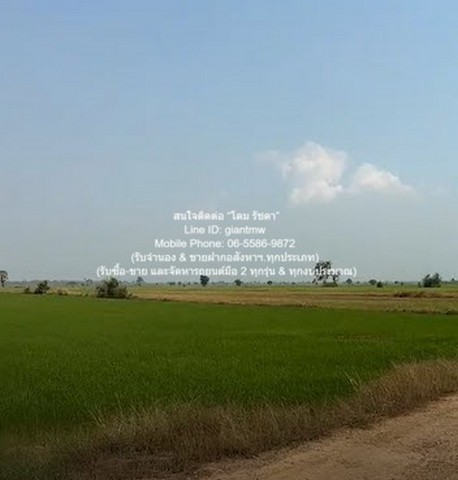 ประกาศฟรี! ซื้อ-ขาย-เช่า คอนโด บ้าน ทาวน์โฮม ที่ดิน และพื้นที่เชิงพาณิชย์ทั่วประเทศไทย ทุกทำเล ทุกงบประมาณ ไม่มีค่าใช้จ่าย ลงง่าย ขายไว เข้าถึงผู้ซื้อโดยตรง 5 292868pic4.jpg