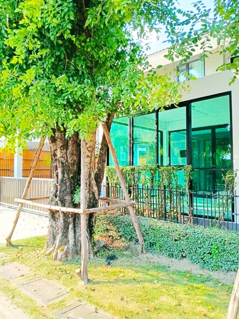 ประกาศฟรี! ซื้อ-ขาย-เช่า คอนโด บ้าน ทาวน์โฮม ที่ดิน และพื้นที่เชิงพาณิชย์ทั่วประเทศไทย ทุกทำเล ทุกงบประมาณ ไม่มีค่าใช้จ่าย ลงง่าย ขายไว เข้าถึงผู้ซื้อโดยตรง 5 316130pic4.jpg