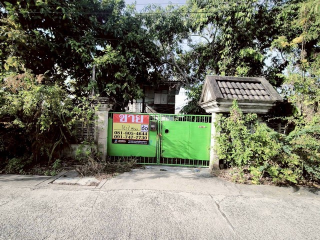 ประกาศฟรี! ซื้อ-ขาย-เช่า คอนโด บ้าน ทาวน์โฮม ที่ดิน และพื้นที่เชิงพาณิชย์ทั่วประเทศไทย ทุกทำเล ทุกงบประมาณ ไม่มีค่าใช้จ่าย ลงง่าย ขายไว เข้าถึงผู้ซื้อโดยตรง 2 516052pic1.jpg